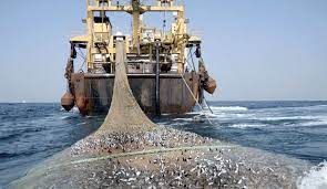 موريتانيا تبحث تطوير مجال الصيد مع تركيا