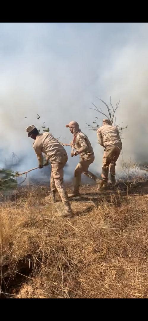 الجيش ينجح في إخماد حريق شب في النباتات في منطقة تناها بولاية (...)
