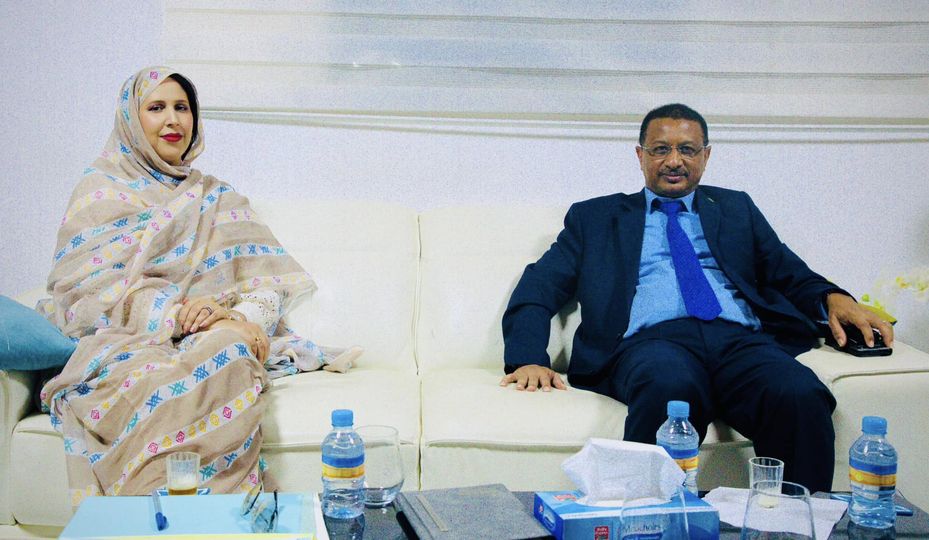 معادن موريتانيا واكناس تتفقان على إنشاء لجنة فنية مشتركة (…)