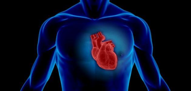 دراسة تكشف: قلب الإنسان قادر على إصلاح نفسه بعد النوبات فكيف (...)