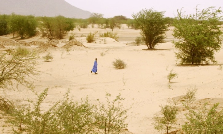 تقرير دولي: جفاف ونزوح.. كيف يُدمِّر التصحر موريتانيا؟