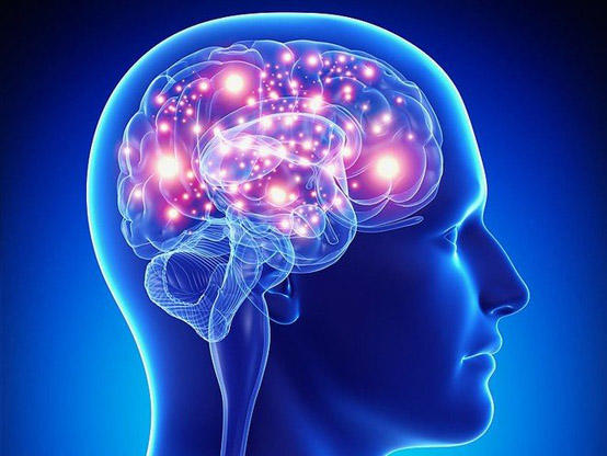 لأول مرة في العالم.. علماء يسجلون النداء الأخير للدماغ قبل (...)