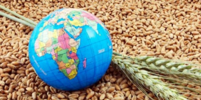 خبراء ومراقبون: أزمة غذاء جديدة تضرب العالم في 2023