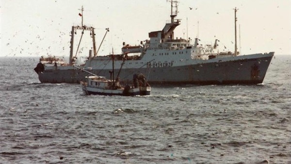 السلطات الموريتانية توقف سفينة صيد روسية تصطاد بشباك (...)