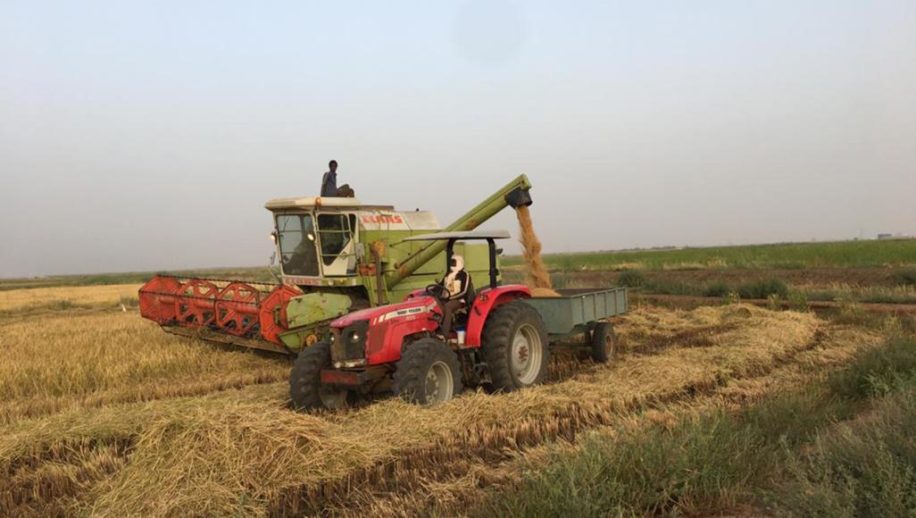 الفشل الزراعي ينشر كورونا في موريتانيا