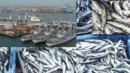 تقرير دولي: 20% من الصيد الصيني الجائر تمارس في المياه (…)