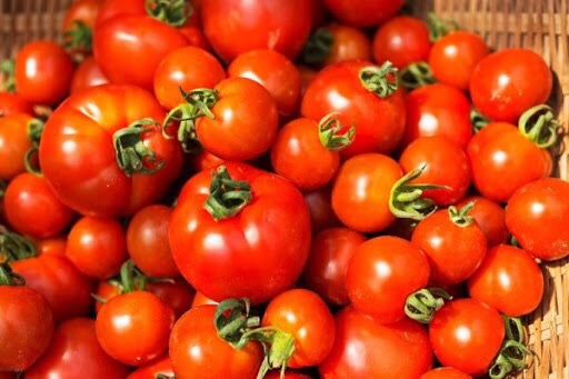 السر الخفي لأزمة الطماطم
