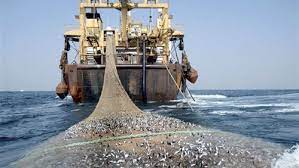 توقيع اتفاقية الصيد مع الإتحاد الأوروبي عن بُعد بواسطة (…)