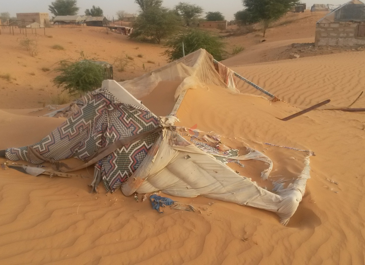 موريتانيا تواجه موجة جفاف هي الأشد منذ نحو نصف قرن