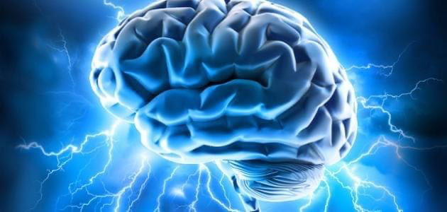 تائه يبحث؟ مدخل علمي الى الايمان‼(ح: 8)