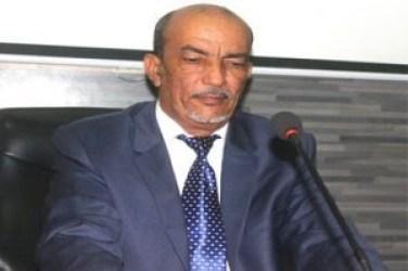 الدكتور محمد ولد  محمد الحسن: اقتصاد موريتانيا سيتحول (…)