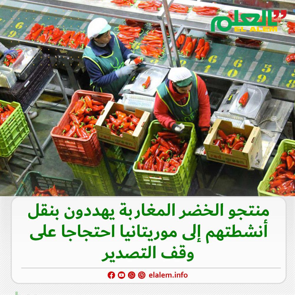 منتجو الخضروات المغاربة يهددون بنقل أنشطتهم إلى (…)