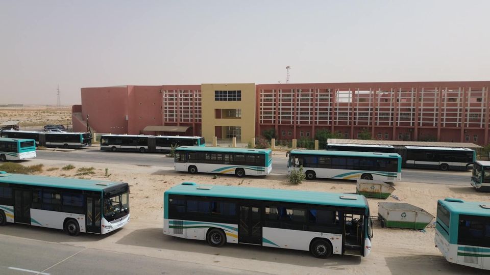 شركة النقل تعلن دخول عشرات الحافلات الجديدة إلى خدمة (…)