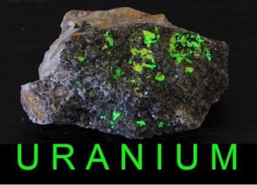 شركة عالمية تعلن استعدادها لاستغلال منجم اليورانيوم شمال (…)