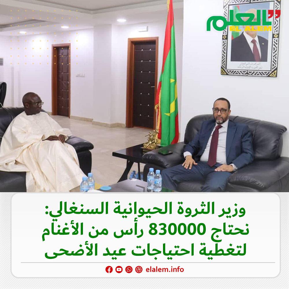 وزير الثروة الحيوانية السنغالي: نحتاج 83 ألف رأس من (…)