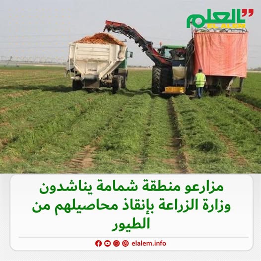 مزارعو منطقة شَمامة يطالبون وزارة الزراعة التدخل العاجل (…)