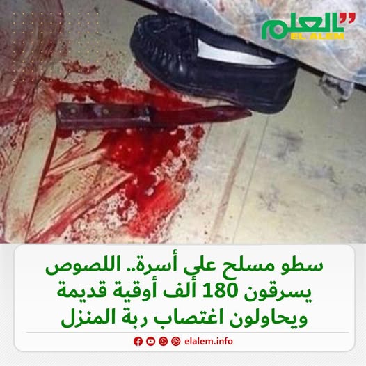 لصوص يهاجمون أسرة في منزلهم ويحاولون اغتصاب والدتهم (…)