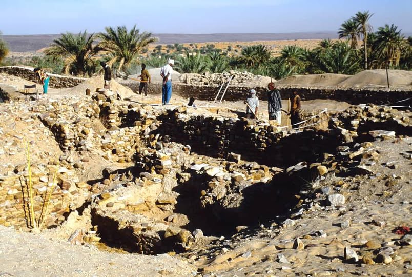 منظمة 