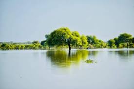 مقاييس الأمطار على 10 ولاية