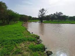 مقاييس الأمطار على 5 ولايات