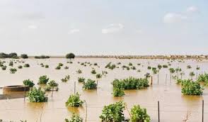 في بعض المناطق تجاوزت 170 ملم.. مقاييس الأمطار على 10 ولايات