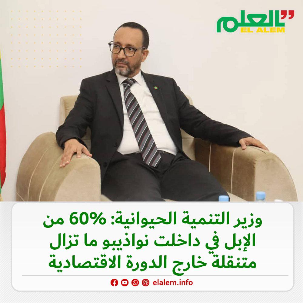 وزير التنمية الحيوانية: 60% من الإبل في داخلت نواذيبو ما (…)