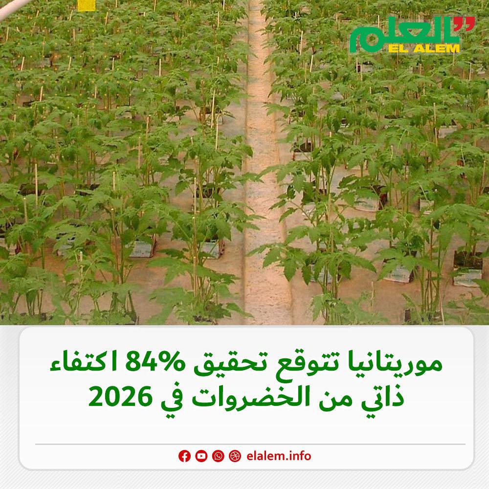 موريتانيا تتوقع تحقيق 84% اكتفاء ذاتي من الخضروات في 2026