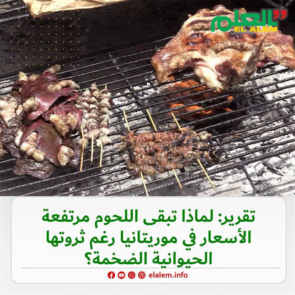 تقرير: لماذا تبقى اللحوم مرتفعة الأسعار في موريتانيا رغم&nbsp;(…)