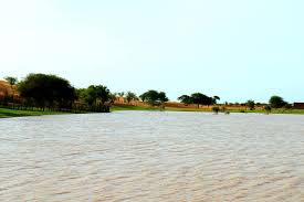 تجاوزت في بعض المناطق 100 ملم.. مقاييس الأمطار على ولايتين