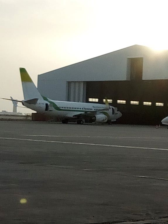 ما سر الكميات الكبيرة من السمك التي تنقل أسبوعيا في&nbsp;(…)