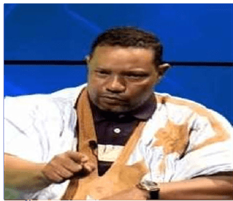 من أوقف التعديلات الدستورية ؟! وما هو مصير موريتانيا في (…)