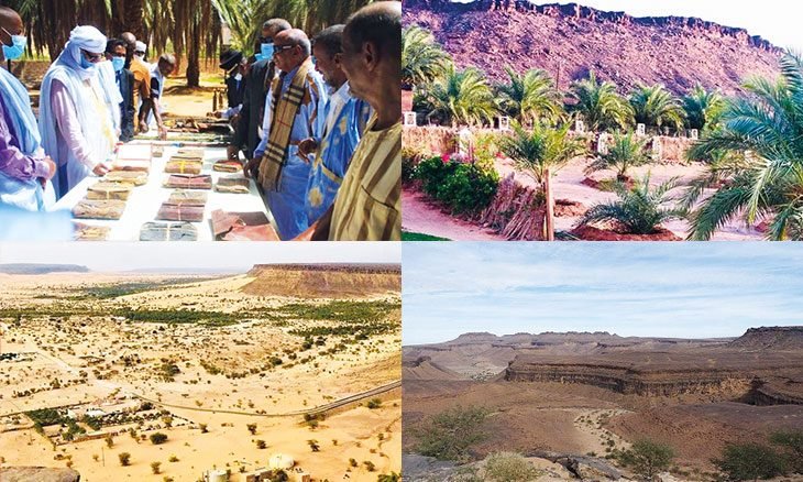 آزوكي المدينة الأثرية النائمة بين رمال حضارة موريتانيا (…)