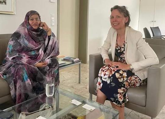 رئسة المجلس الجهوي لولاية إنشيري تلتقي بالسفيرة الآلمانية