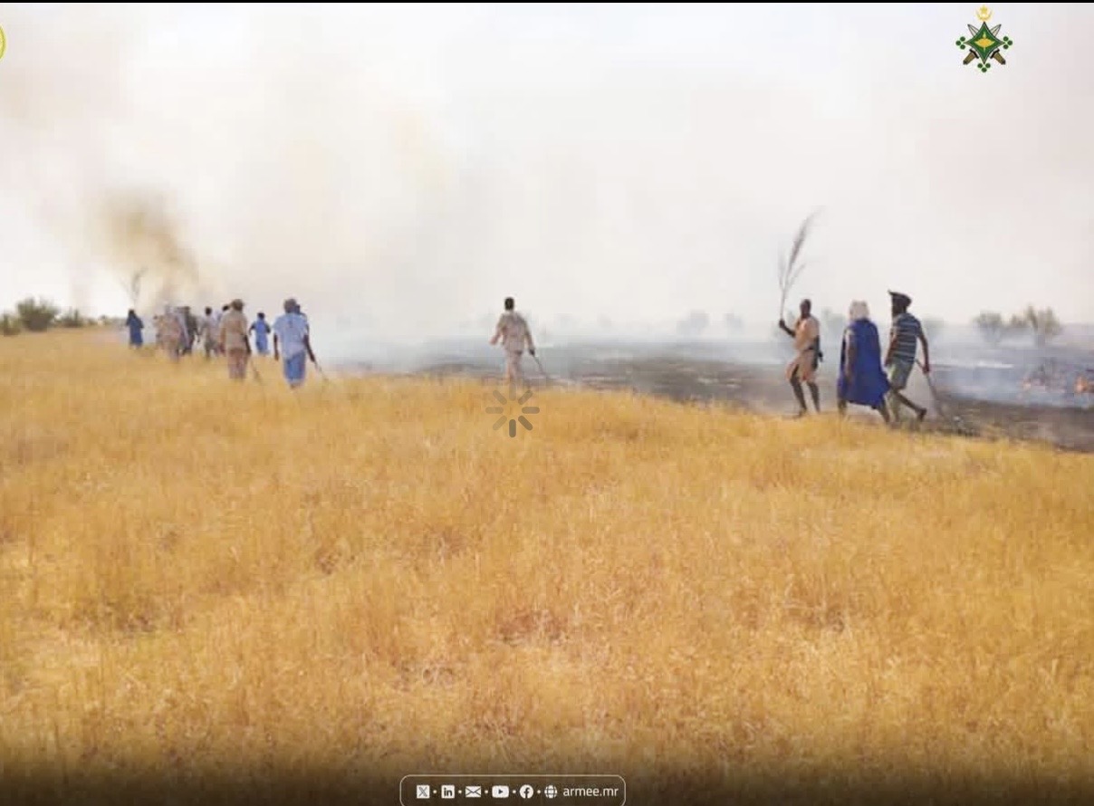 الكتيبة الموريتانية التابعة للقوة المشتركة لدول الساحل (…)